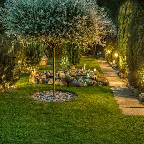 lighting-garden-lit-walkway-with-stones-image