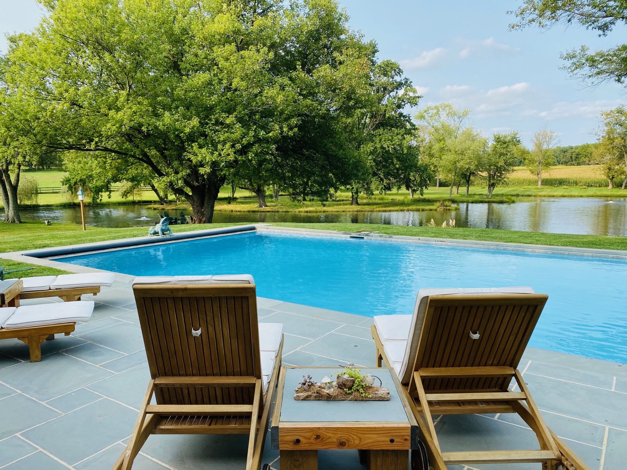 relaxing view of custom inground pool