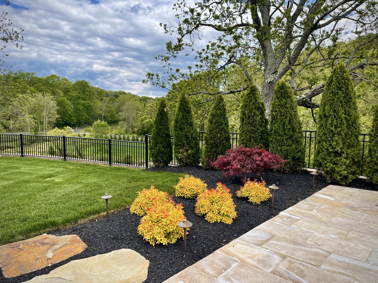 Landscaped backyard with vibrant plantings, stone walkway, and privacy trees—ideal for complementing a plunge pool.